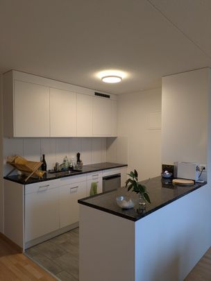 Rent a 3 ½ rooms apartment in Uster - Photo 1