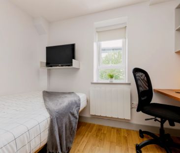 Standard Studio - Photo 1