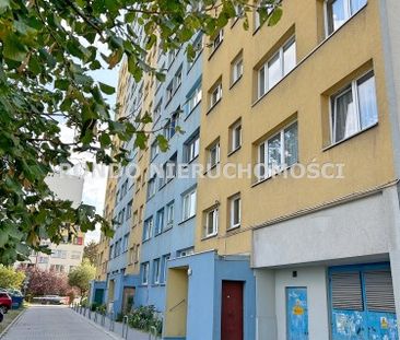Wrocław, Krzyki, Gaj - Zdjęcie 5