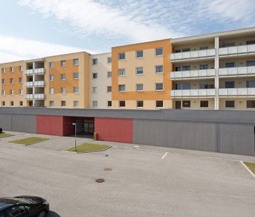 WIENER NEUSTADT VIII/3 - Foto 6