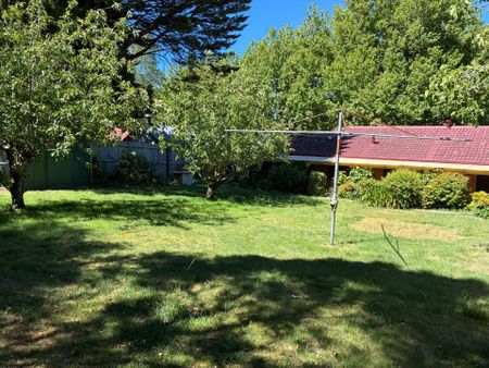 Short walk to Town - Photo 3