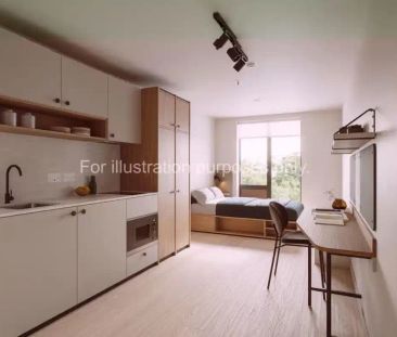 Luxury Studio Plus - Photo 3