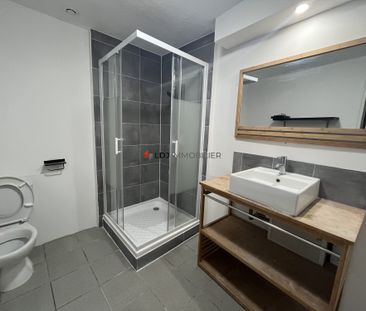 Location Appartement 2 pièces 60m² PERPIGNAN 66000 - Photo 3