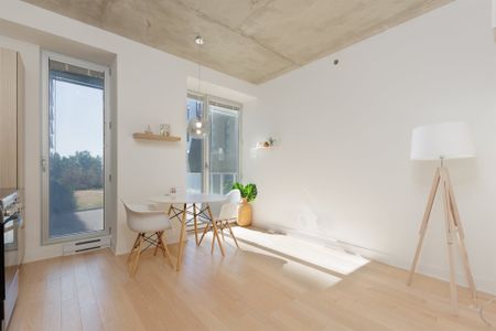 1800 Boul. René-Lévesque O., apt. 217 - Photo 4