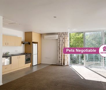 6 Tussock Lane | $495 weekly - Photo 6