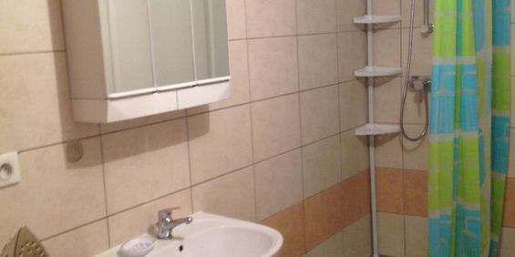 Appartement 1 pièce à Reichshoffen - Photo 3