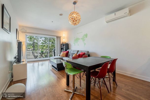 MR068 - Apartment Rosemont/Petite-Patrie, Montreal - Photo 1