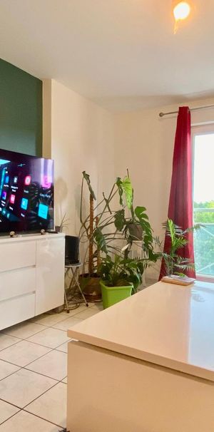 Location Appartement 2 pièces 46m² JOUE LES TOURS 37300 - Photo 1