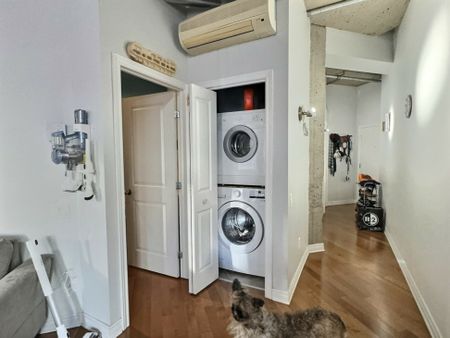 Appartement à louer - Montréal (Ville-Marie) (Centre Ouest) - Photo 3