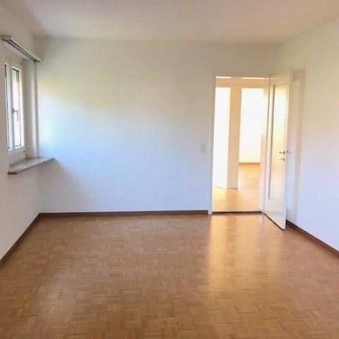 Wohnung an perfekte Lage in Zürich Seebach - befristet bis 31.03.2028 - Foto 1