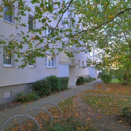 Familienfreundliches Paradies in Halles beliebter Südstadt - Photo 4