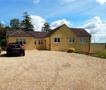 3 bedroom bungalow to rent - Photo 1