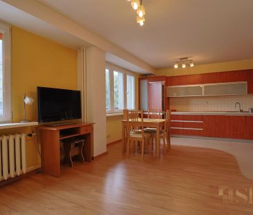 Duże mieszkanie typu studio, Manhattan - Photo 2
