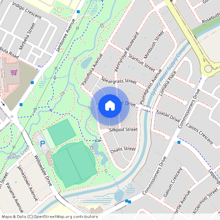 4A Riceflower Drive, NSW 2565, Denham Court