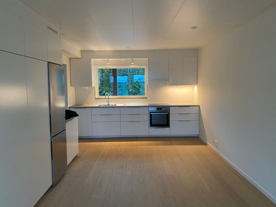 Hälsinggårdsvägen, Falun - Photo 1