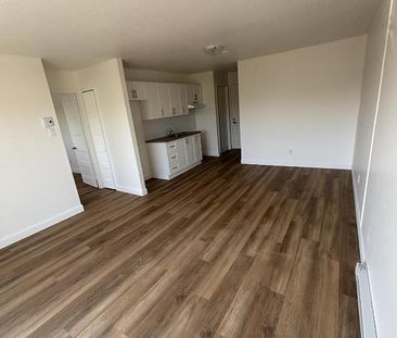 À louer – 3 ½ rénové au complet - Photo 1