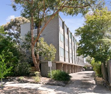 Unit 3/9 Denbigh Road, Armadale. - Photo 6