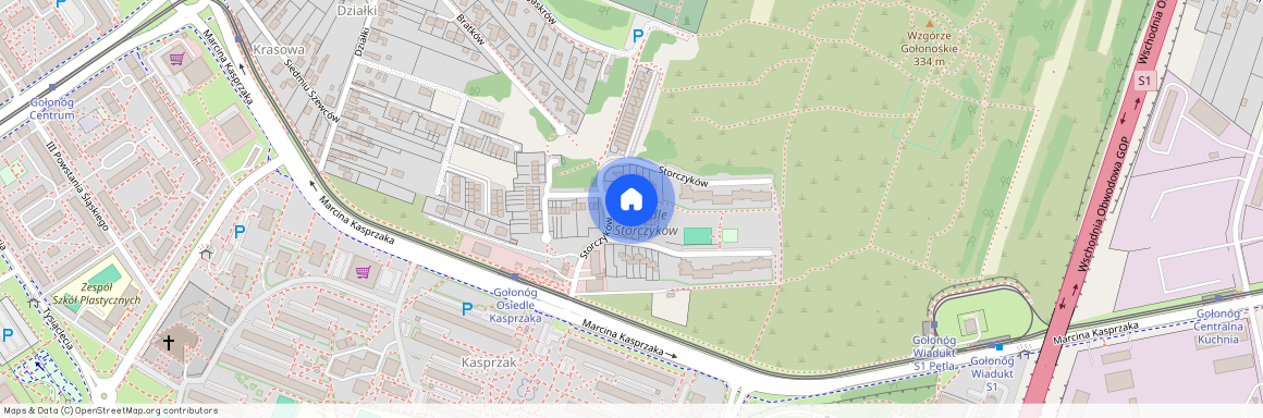 Dąbrowa Górnicza