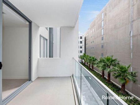 Stunning Sunny, Leafy Apartment - Photo 5