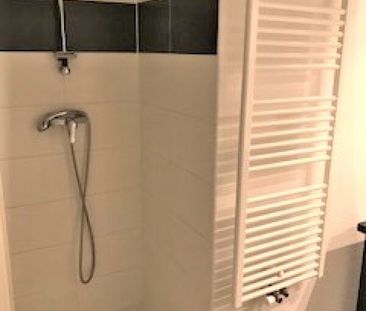 Location Appartement 3 pièces 54m² LAUNAGUET 31140 - Photo 3