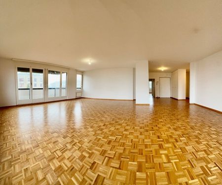 Coeur de Champel: 6 pièces en pignon – Traversant, lumineux et généreux - Foto 5