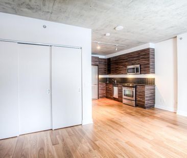 Appartement à louer - Montréal (Ville-Marie) (Centre Ouest) - Photo 5