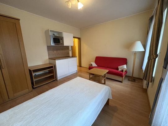 Pronájem bytu 1+kk a garsoniéry 19 m² - Photo 1