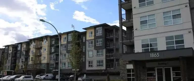 Beautiful, Furnished Studio Apartment Available February 1st! | 1865 Salton Road, Abbotsford - Photo 1