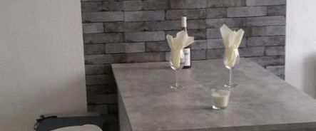 Neckarwestheim - Wer das BESONDERE liebt - Studiowohnung - Foto 1