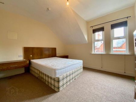 39 Elaine Street, Belfast, BT9 5AR - Photo 4
