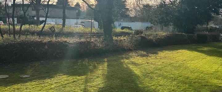 Wohnung zu vermieten. - Foto 1