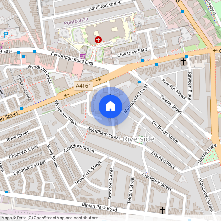 Lewis Street, Riverside, Cardiff