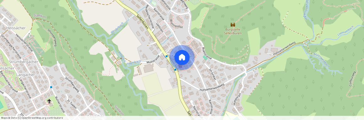 Sellenbüren 55, 8143 Stallikon