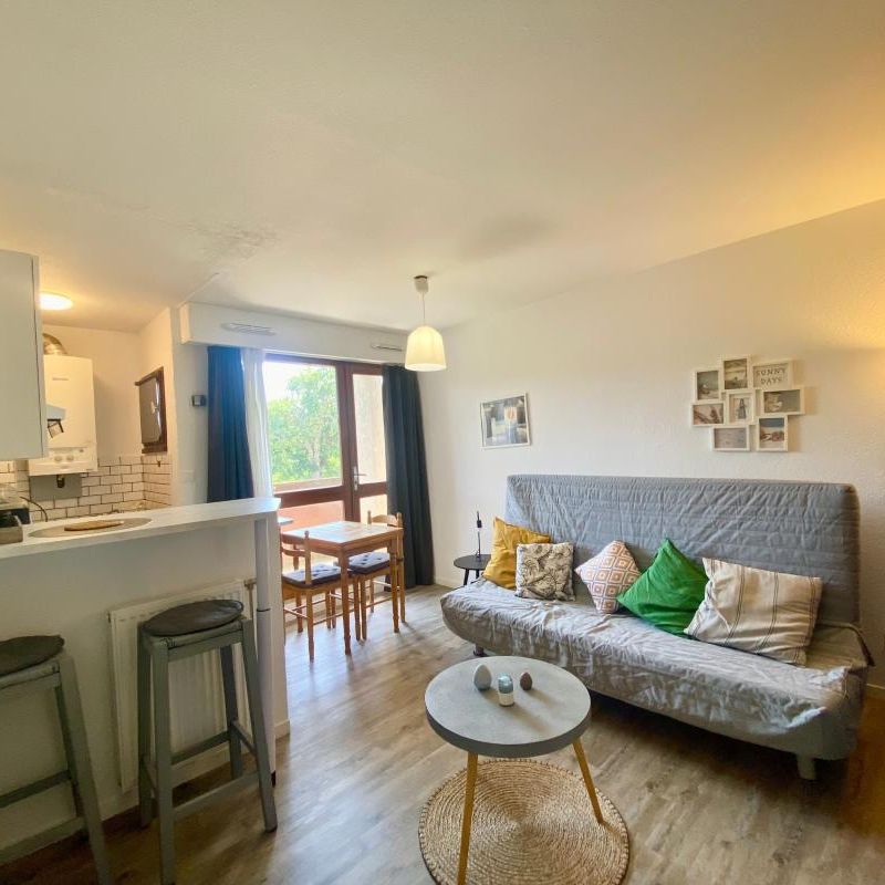 Location Appartement 1 pièce Meublé 23m² ST PIERRE DU MONT 40280 - Photo 1