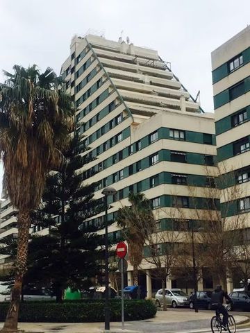 Avinguda de l'Institut Obrer de València, Valencia, Valencian Community 46013 - Photo 4