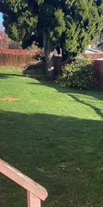 Three Bedroom Home in Kihikihi - Photo 3