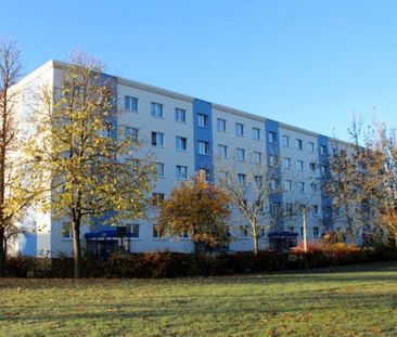 Gemütliches Wohnglück in ruhiger Randlage – Ideal für Singles & Paare - Photo 5