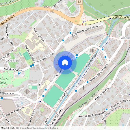 Avenue des Crosets, 1800 Vevey