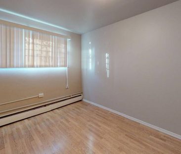 Ivy Manor Apartment Rentals - Photo 5