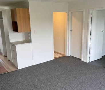 Fully Renovated Apartment - Photo 2