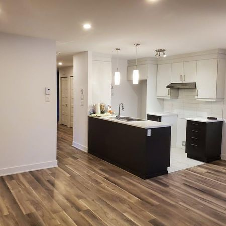 Logement style condo 4 1/2 NEUF - Pointes-aux-Trembles ÉLECTROS INCLUS - Photo 3