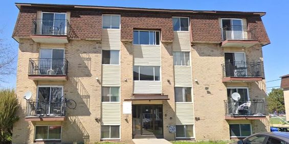 44 Rue De Matapédia (Gatineau) Logement 1 Chambre Près D'Ottawa - Photo 3