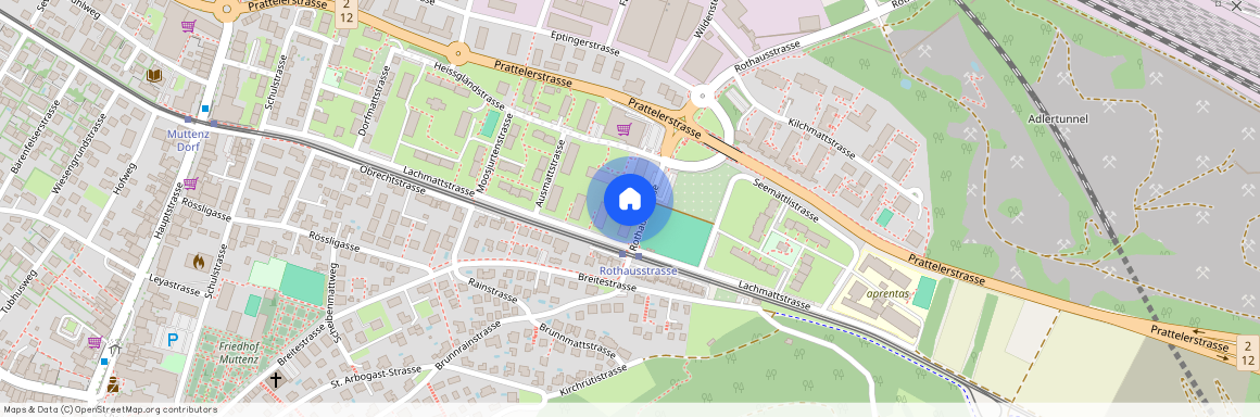 4132, Muttenz, Rothausstrasse, 9