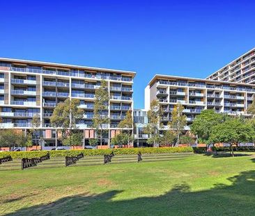 446/8 Ascot Ave., Zetland - Photo 6