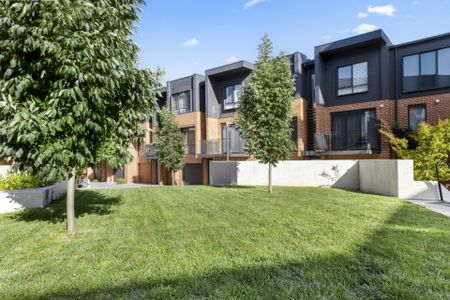 Spacious Three Bedroom in Braddon! - Photo 4