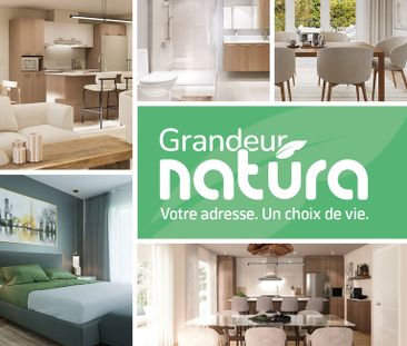 Grandeur Nature - Unités Locatives Neuve - Photo 2