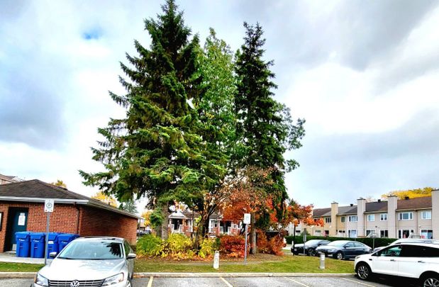 For Lease - 6245 TEALWOOD Place, Orleans - Convent Glen and Area, Ontario - Photo 1