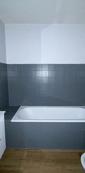 Location Appartement 1 pièce 24m² METZ 57070 - Photo 1