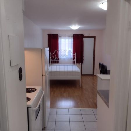 1 1/2 - Montréal (Le Plateau Mont-Royal) - 1 250 $/mois - Photo 3