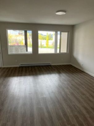 New 2 Bed 1 Bath Basement Suit: Avail July 1 - Photo 1